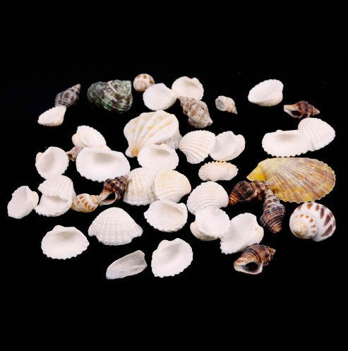 Beautiful Approx 100g Beach Mixed SeaShells